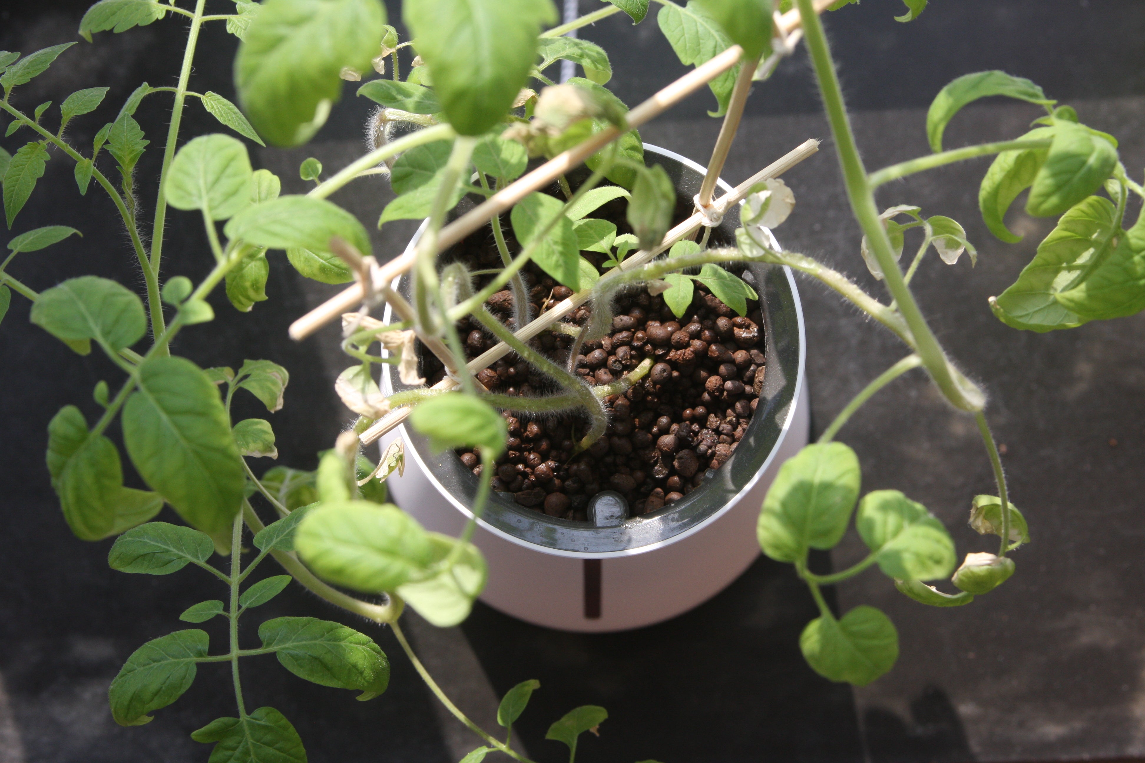 Community Highlights