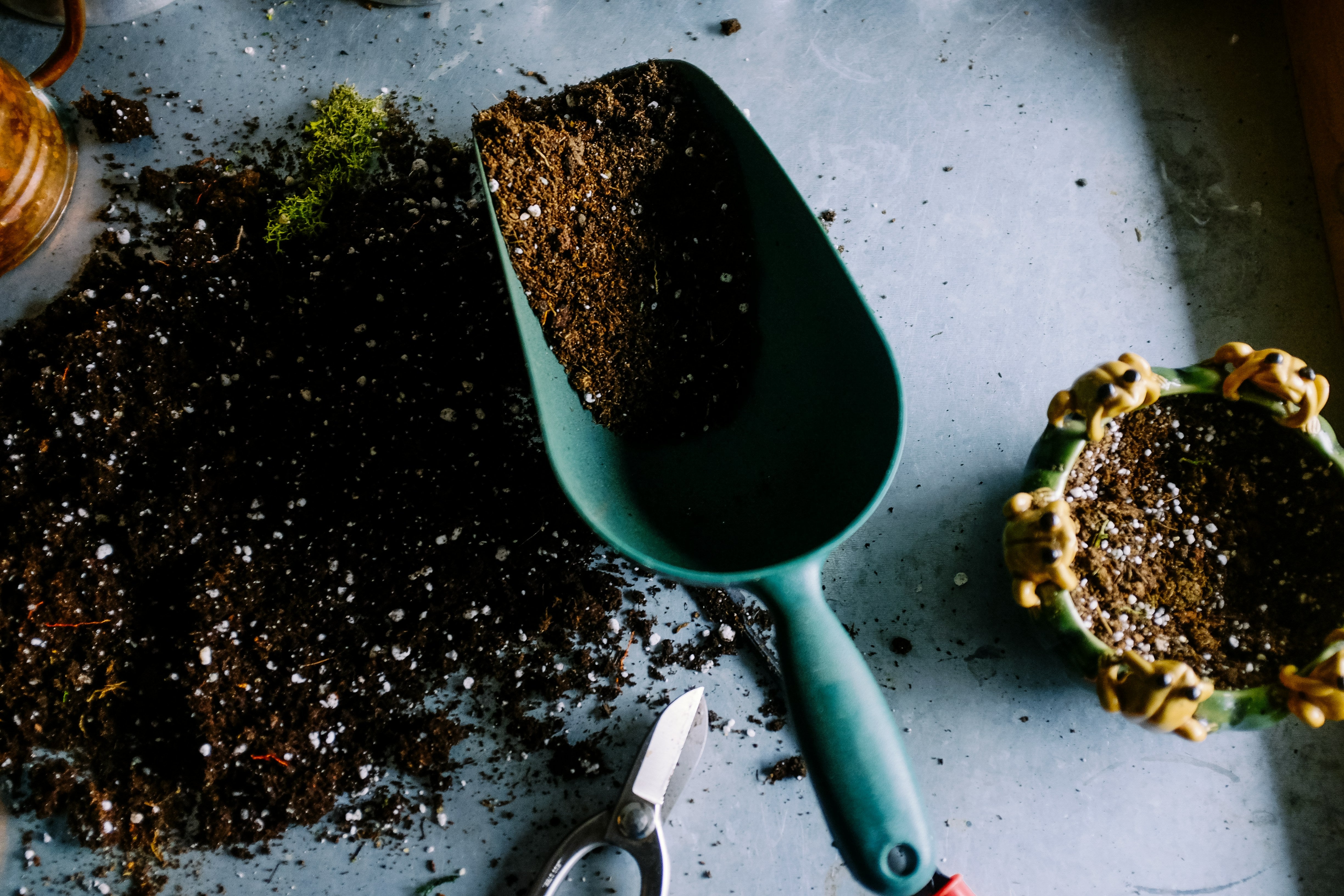 5 Common Gardening Myths Debunked: Grow Smarter, Not Harder