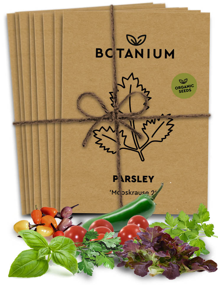Seed bundle (7 packets)