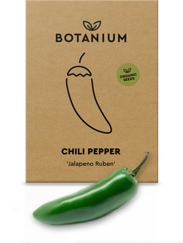 "Jalapeno" Chilli seeds