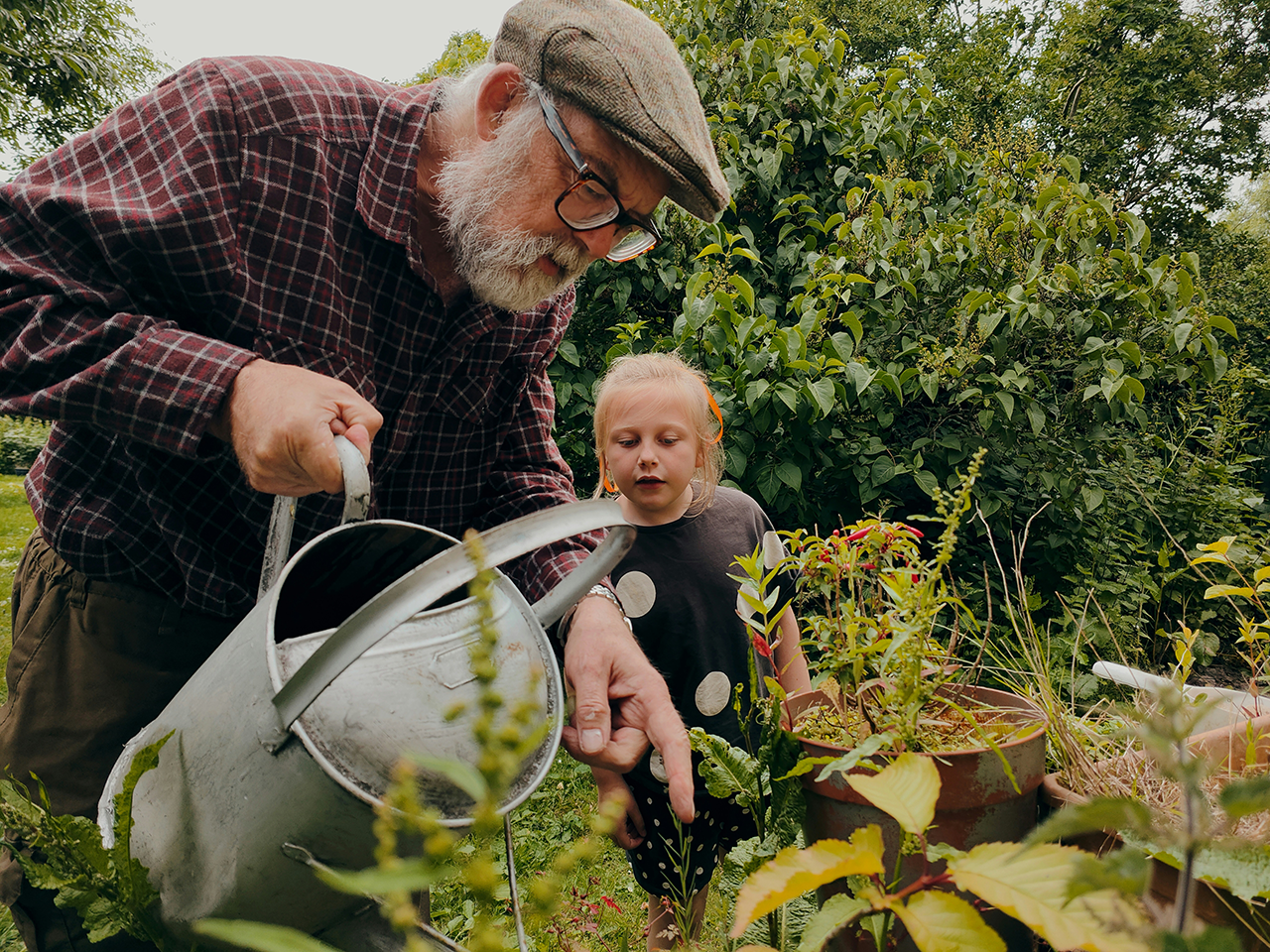 Grow Your Own Food and Improve Your Health! (and others)